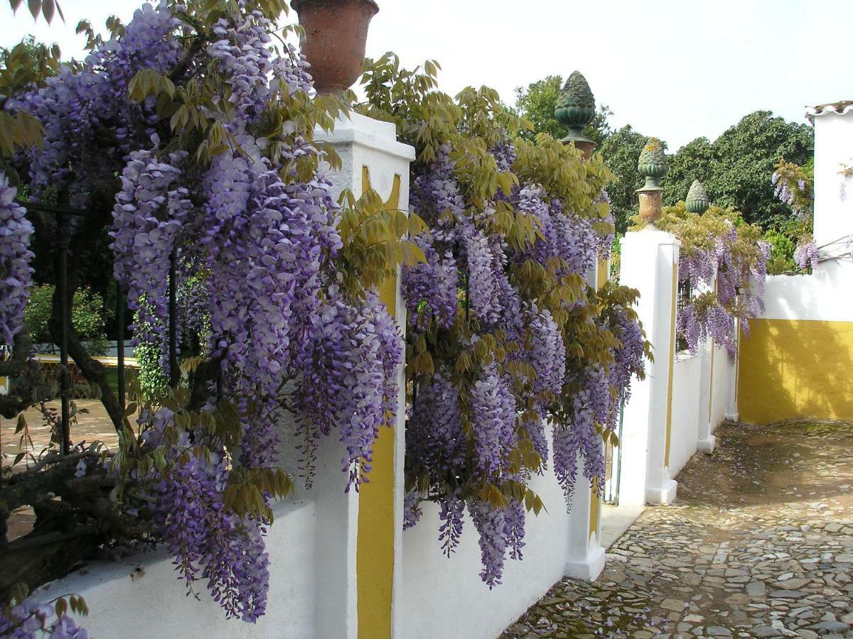 Hotel Rural Quinta De Santo Antonio Elvas Exterior photo